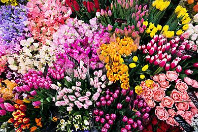 《偶像大师》将启动MR Project企划 旨在拓宽角色活动领域