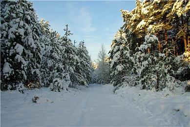 《怪物猎人崛起：曙光》2022年春季公开新消息